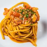 Savini Hotel Bellaria-Igea Marina